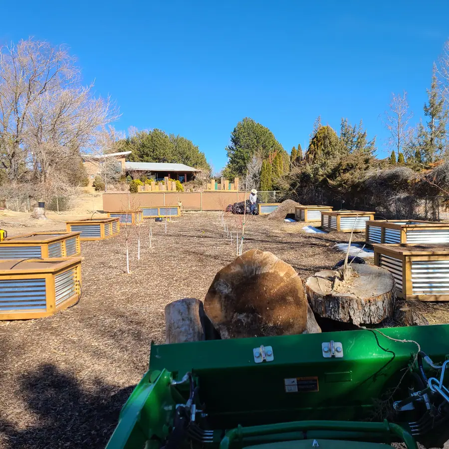 The new raised beds, wooden frames with corrugated metal sides, seen over a tractor bucket holding cut log rounds.
